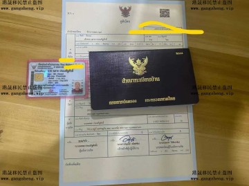 泰国案例